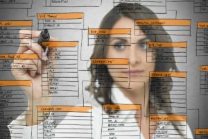 gtn database developer or administrator