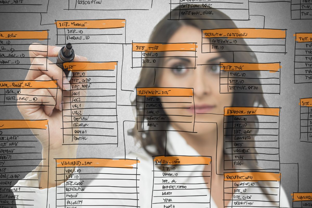 Database Developer or Administrator: Which Career Path Should I Choose?